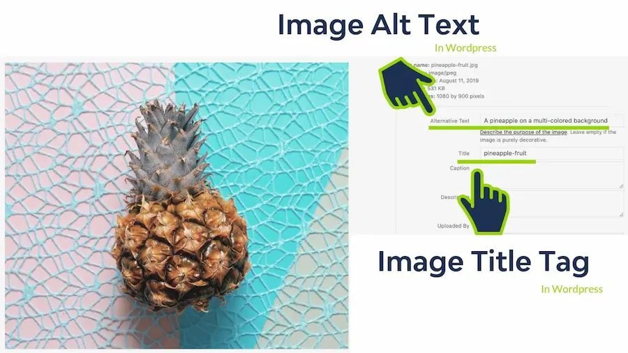 On-Page SEO: The Complete Guide to Ranking Web Pages 5 example of image alt description
