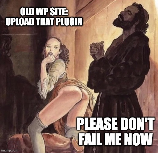 wordpress plugin meme