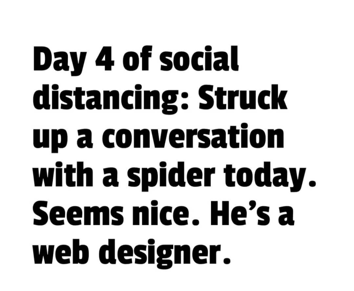 web design spider meme 1