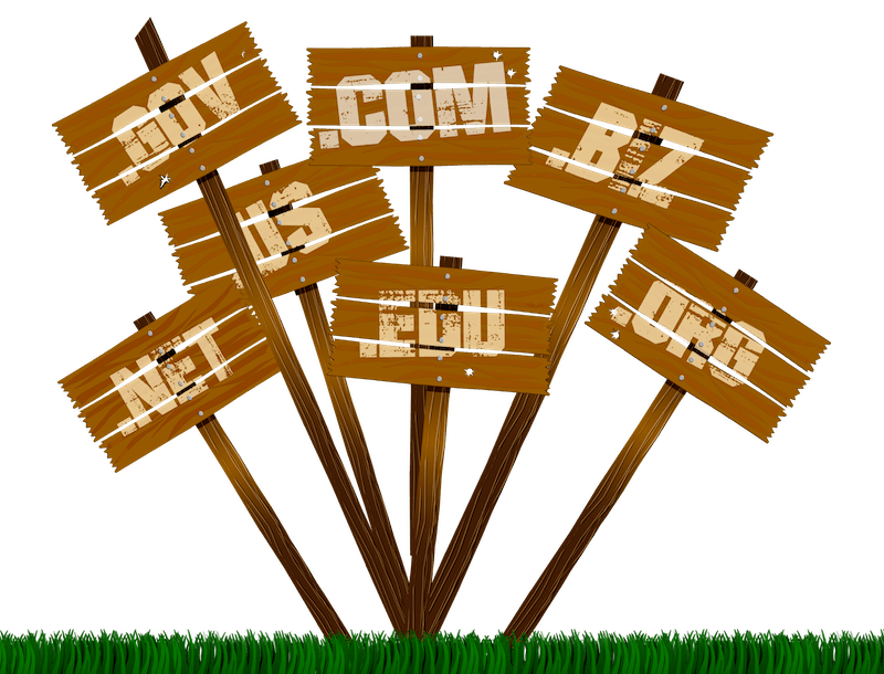 choose new domain names