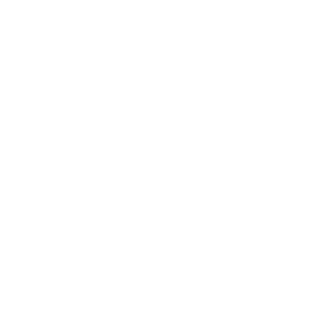 Perplexity