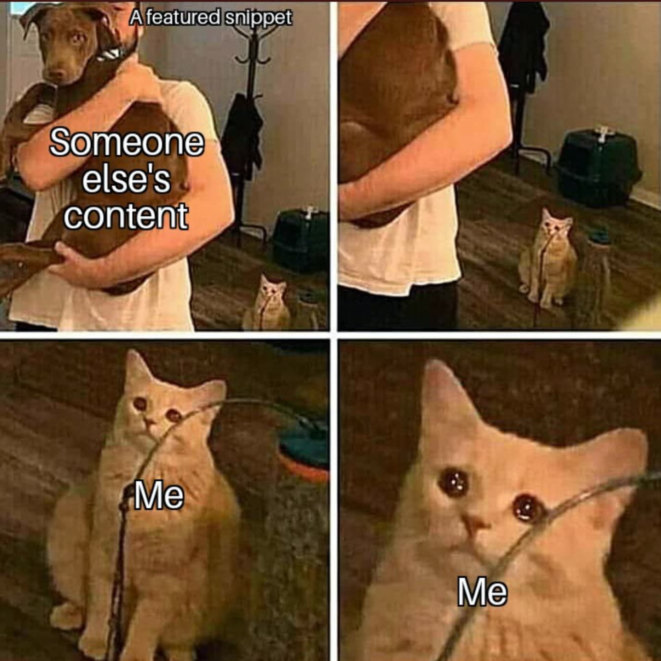 SEO Memes - 50+ Hilarious Digital Marketing & Google Memes 43 content featured snippet meme